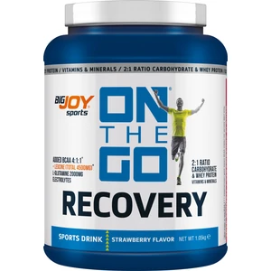Bigjoy Sports On The Go Recovery Çilek 1.05KG