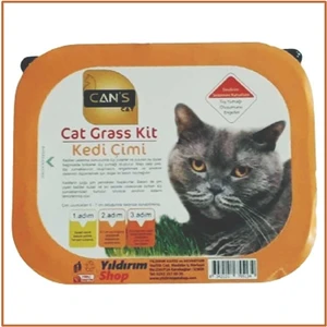 Kedi Çimi