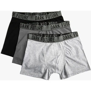 Basic 3'lü Boxer Seti Beli Lastikli Slogan Detaylı Pamuklu