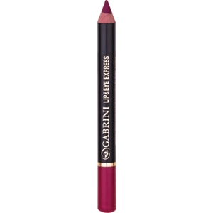 Express Pencil 133