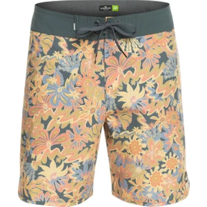 SurfSilk Tijuana 19 Erkek Boardshort
 EQYBS04770