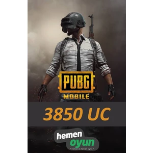 Pubg Mobile TR 3850 Uc Yükleme(Top-Up)