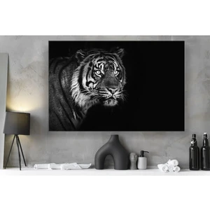 Siyah Beyaz Vahşi Kaplan Muhteşem Kanvas Tablo