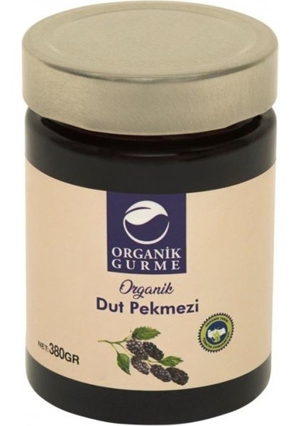 Dut Pekmezi 380 gr fiyatları