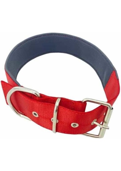 Köpek Boyun Tasması 5cm