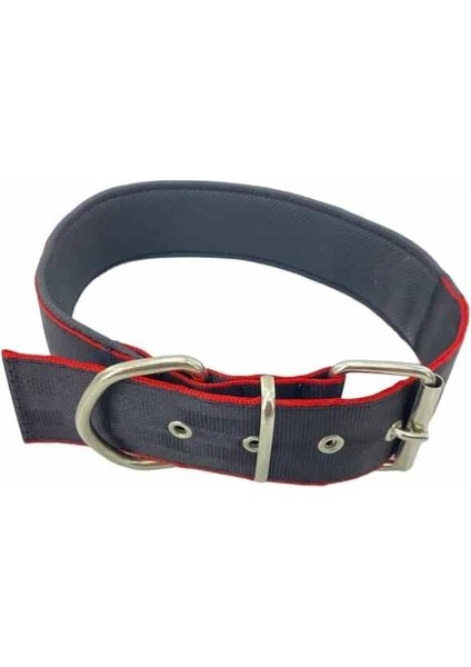 Köpek Boyun Tasması 5cm modelleri