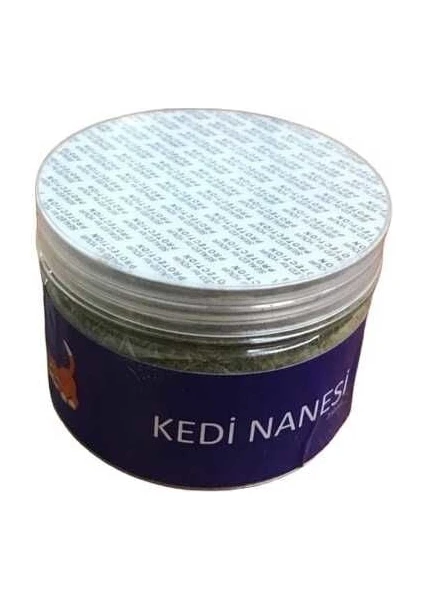 Catnip Kedi Nanesi Kavanoz 82GR