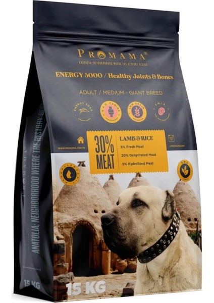 Energy 5000 Yetişkin Köpek Maması