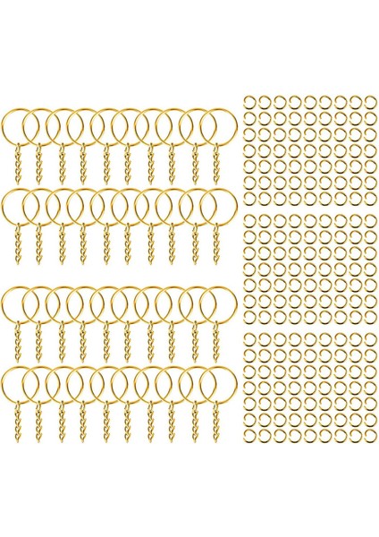 200PCS Anahtar Zincirleri Atlama Anahtarı Anahtar Anahtarlık Yapma Dıy Aureate (Yurt Dışından)