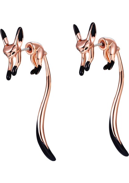 Bijuteri Küpe (Yurt Dışından)