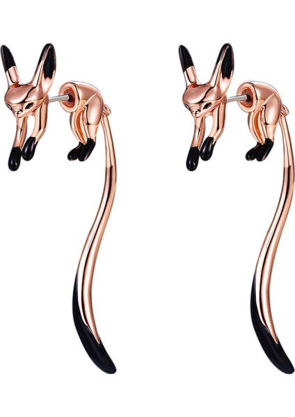 Bijuteri Küpe (Yurt Dışından) modelleri