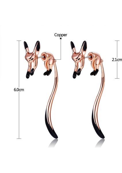 Bijuteri Küpe (Yurt Dışından) fırsatları