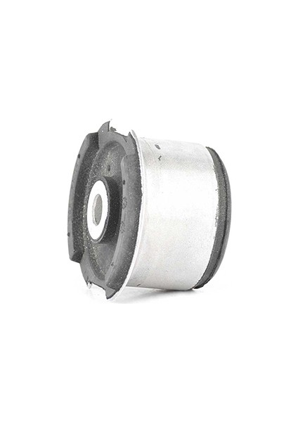 Bmw 3 Serisi 316 I Salincak Burcu Arka