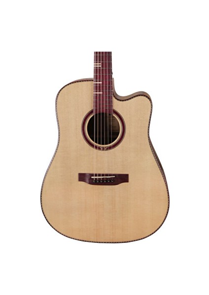 D-20C Elektro Akustik Gitar