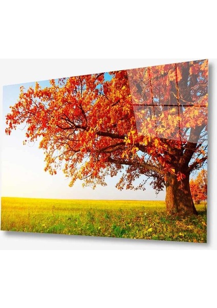 Doğa Cam Tablo 72X46 Renkli