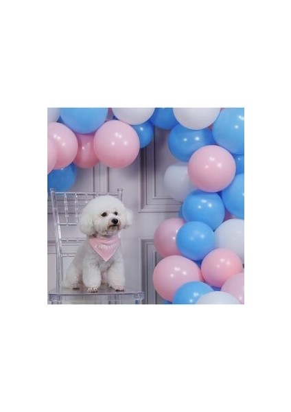 50 Adet Pastel Balon ve 5 Metre Balon Zinciri (Pembe- Açık Mavi-Beyaz)