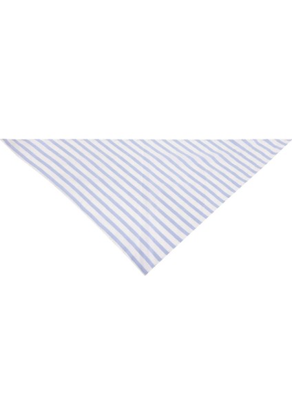 Mavi Çizgili Eşarp Standart Renk Y2184112_089