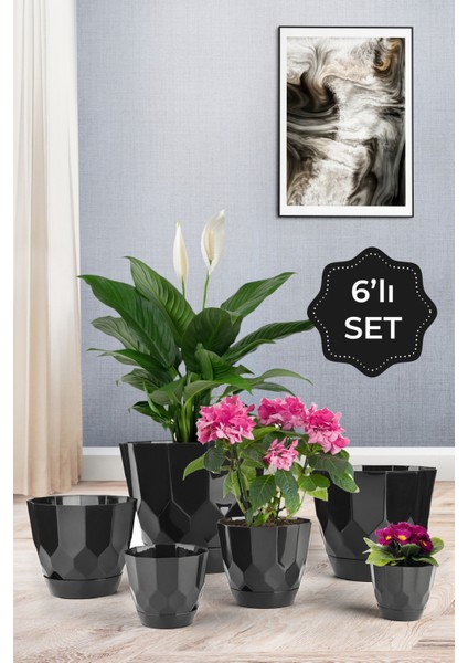 Lillium Saksı 6lı Set Siyah