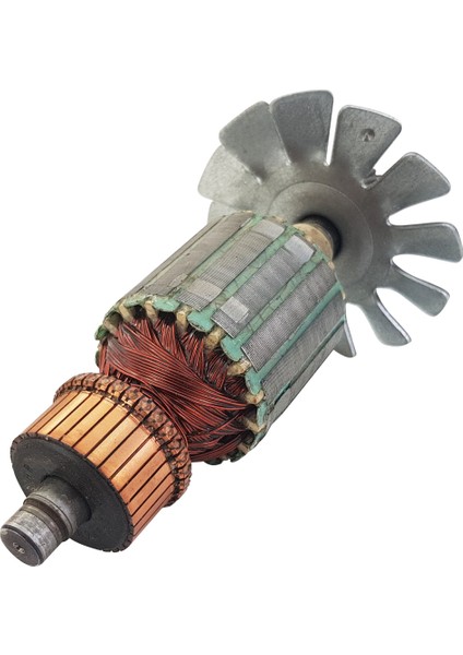 Pts 10 Endüvi Armatür Rotor 230V