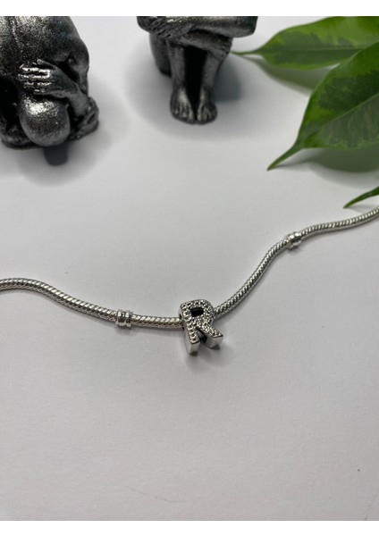 Gümüş S925 Damgalı R Harfi Zirkon Taşlı Charm fiyatları