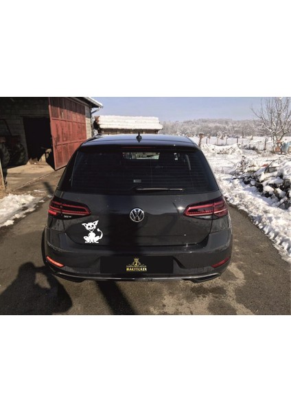 Kedi Sticker fiyatları