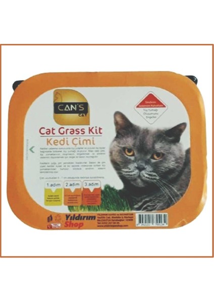 Kedi Çimi