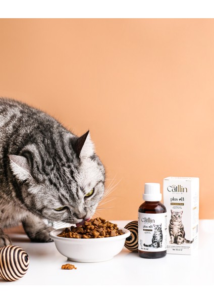 Plus + B For Cats 50 ml Kediler Için Tüy Sağlığı Damlası