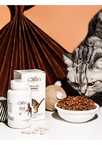 Move + G Glucosamine Tablet Kedi Için Eklem ve Kas Desteği