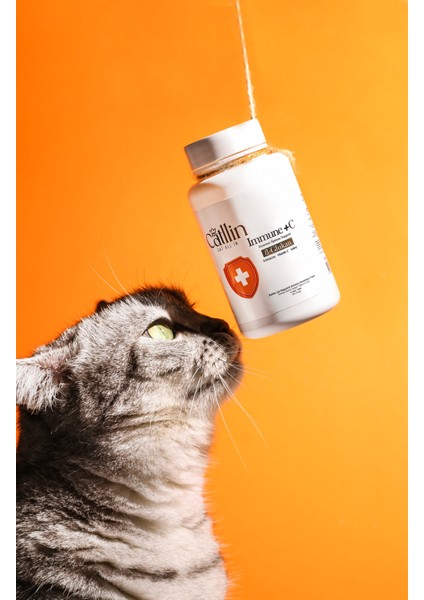 Immune + C Tablet Kediler Için Bağısıklık Sistemi Desteği Beta Glukan