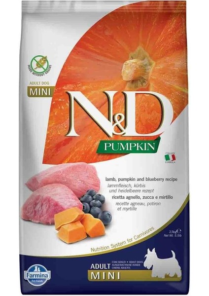 Nd Pumpkin Tahılsız Bal Kabaklı Kuzu Etli Yaban Mersinli Küçük Irk Yetişkin Köpek Maması 2.5 kg