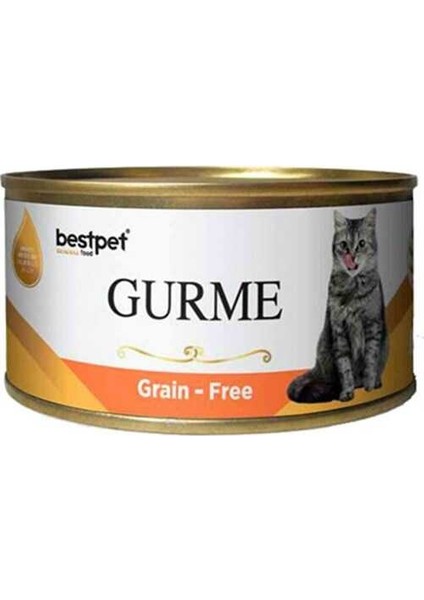 Best Pet Gurme Jöleli Somonlu Yetişkin Kedi Konservesi 100 gr - Farmapets