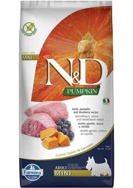 Nd Pumpkin Tahılsız Balkabaklı Kuzu Etli Yaban Mersinli Mini Yetişkin Köpek Maması 7 kg