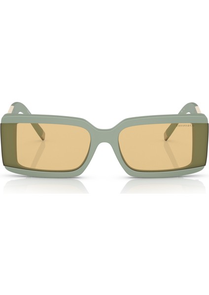 Tiffany&Co Tıffany & Co. Tf 4197 8365/8 62 Güneş Gözlüğü