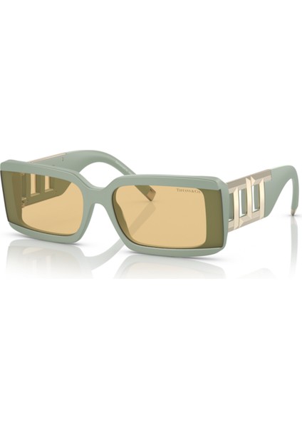 Tiffany&Co Tıffany & Co. Tf 4197 8365/8 62 Güneş Gözlüğü fiyatları