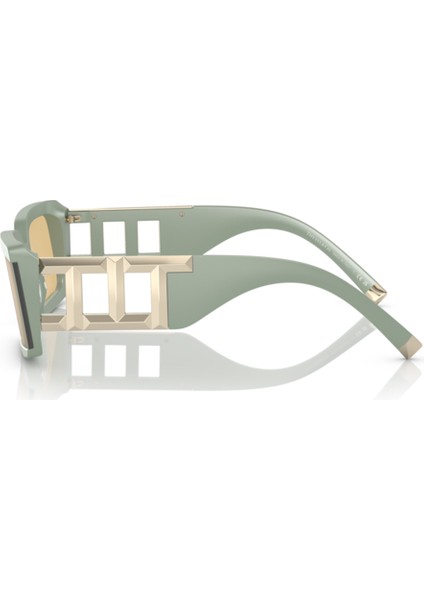 Tiffany&Co Tıffany & Co. Tf 4197 8365/8 62 Güneş Gözlüğü modelleri