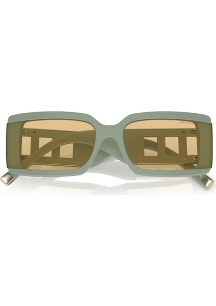 Tiffany&Co Tıffany & Co. Tf 4197 8365/8 62 Güneş Gözlüğü indirimleri