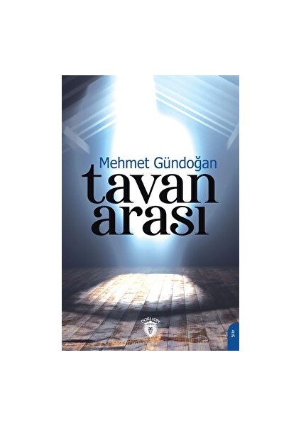 Tavan Arası