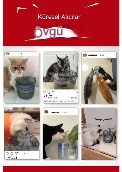 Pet Kediler Otomatik Döngü Filtresi Akıllı Pet Su Besleyici (Yurt Dışından) indirimleri