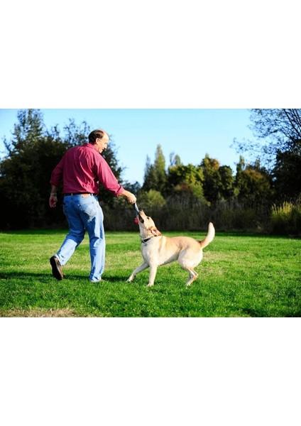 Köpek Çekiştirme Topu Chuckıt! Ultra Tug