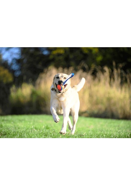 Köpek Çekiştirme Topu Chuckıt! Ultra Tug