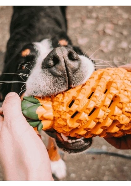 Çok Fonksiyonlu Ananas Anksiyete Oyuncağı