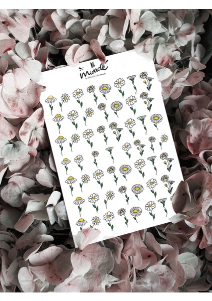 Floral Chamomile Mix Tırnak Dövmesi Tırnak Tattoo Nail Art Tırnak Sticker