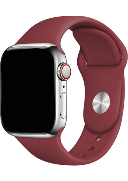 Apple Watch Uyumlu 3 4 5 6 7 8 Se 38MM 40MM 41MM Silikon Soft Yapı Yumuşak Klasik Voyoklas