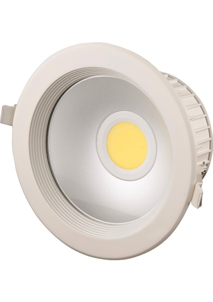 10 W Yuvarlak Cob Ledli Armatür