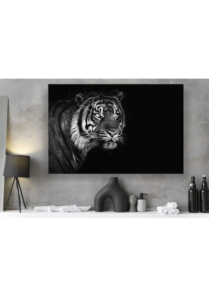 Siyah Beyaz Vahşi Kaplan Muhteşem Kanvas Tablo