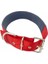 Köpek Boyun Tasması 5cm 1