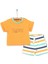Baby Shark Tshirt-Şort Takım Erkek Bebek 1