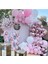Makaron Pembe Krom Pembe Balon Zinciri Seti 100 Adet Balon ve Zincir 1