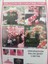 Makaron Pembe Krom Pembe Balon Zinciri Seti 100 Adet Balon ve Zincir 2