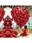 100 Adet Kırmızı Metalik Balon 12 Inç 1